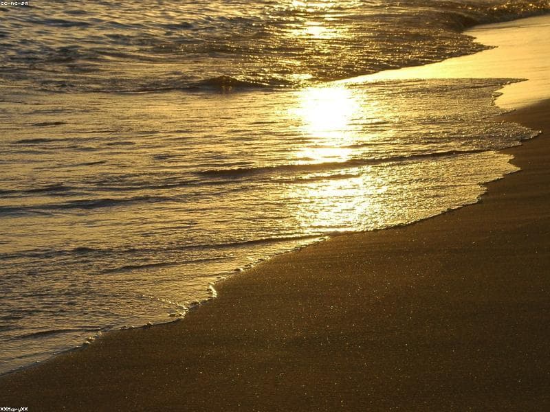 Bellows Field Beach Park