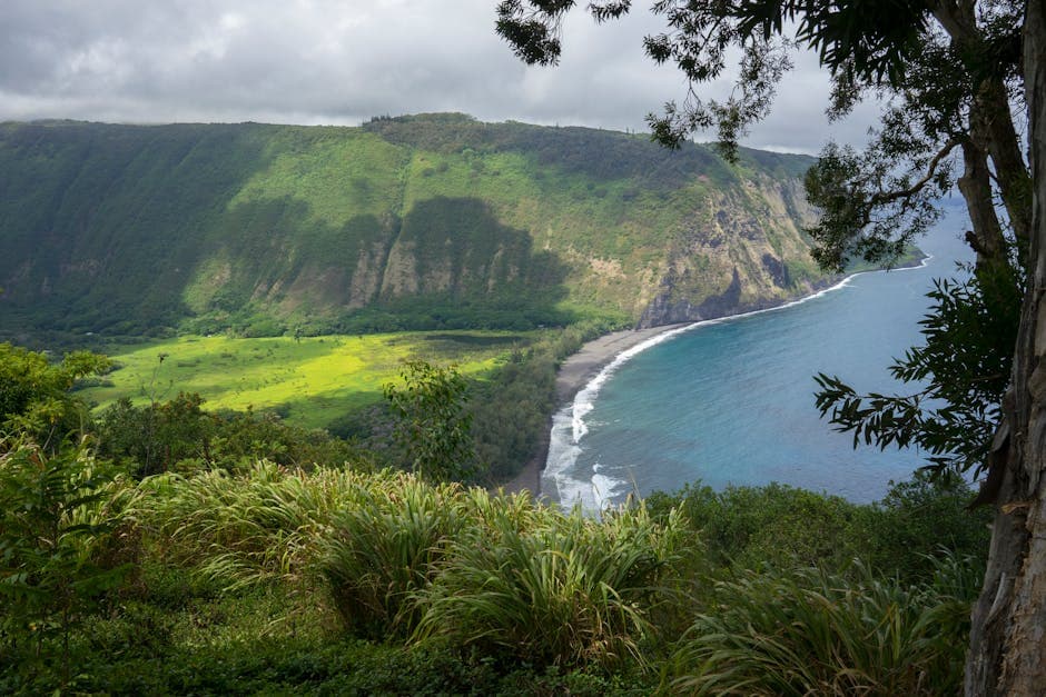 Waipio Valley Lookout