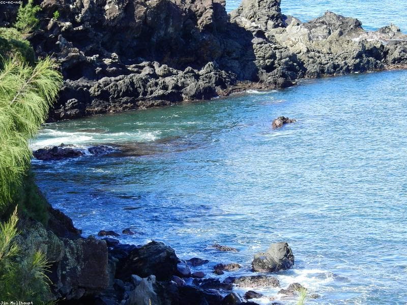 D.T. Fleming Beach Park