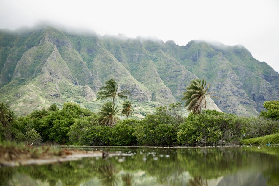 Oahu