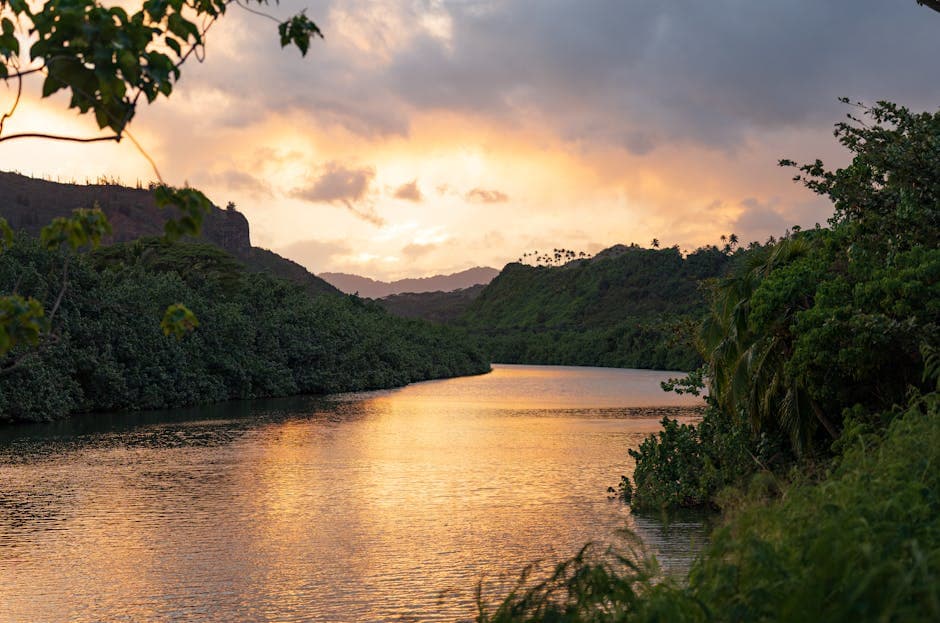 Kayak the Wailua River