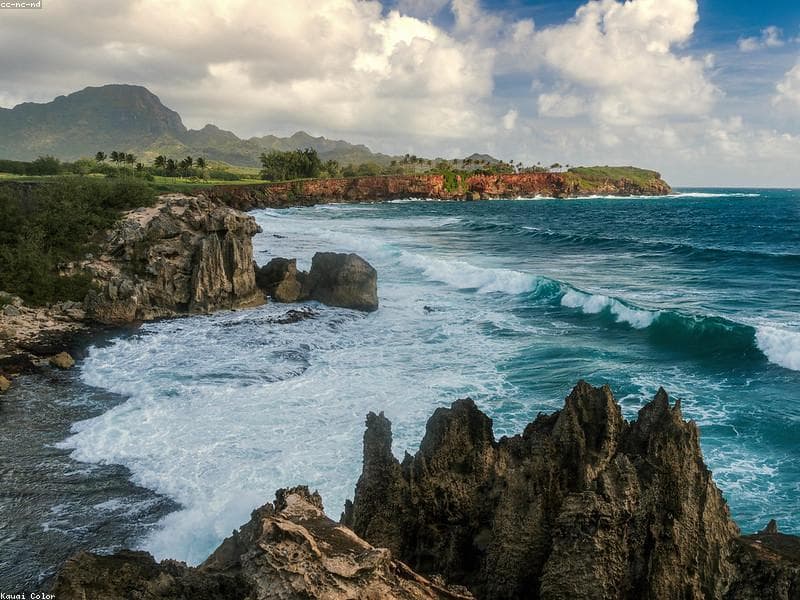Makapu'u Beach Park