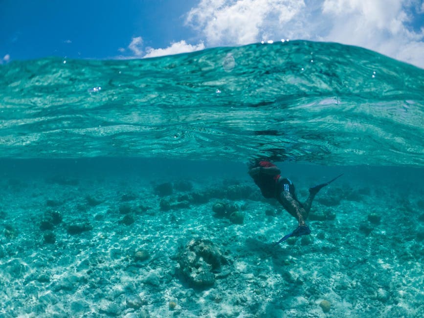 Honolua Bay