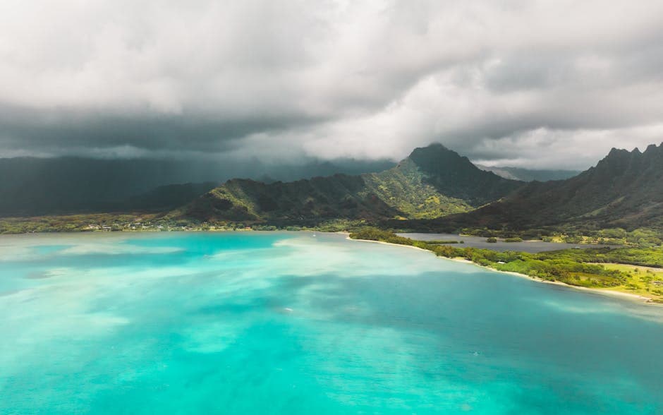 Kualoa Ranch & Ka'a'awa Valley