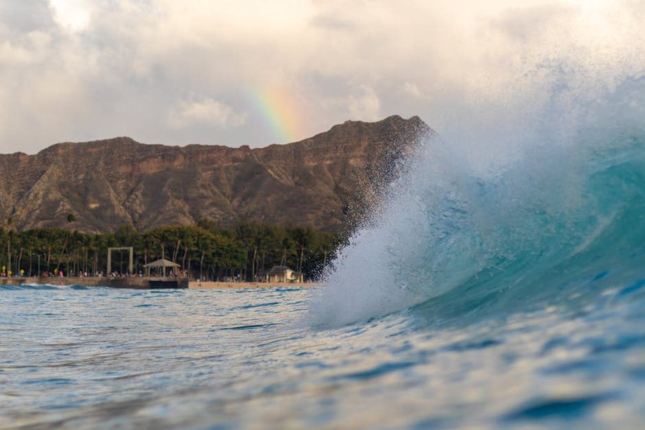 Ala Moana Beach Park