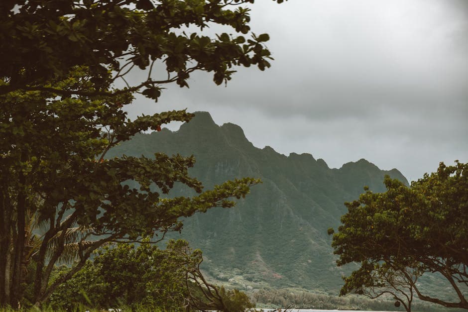 Diamond Head Summit Trail