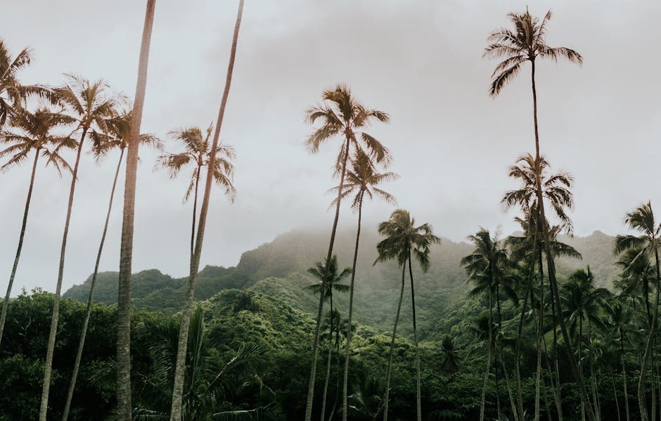 Hawaii Tropical Bioreserve & Garden