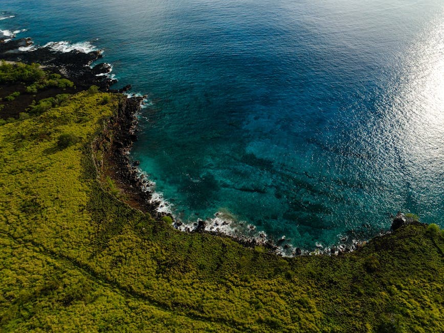 Helena's Hawaiian Food