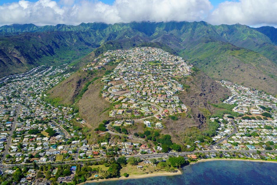 Hilo Farmers Market