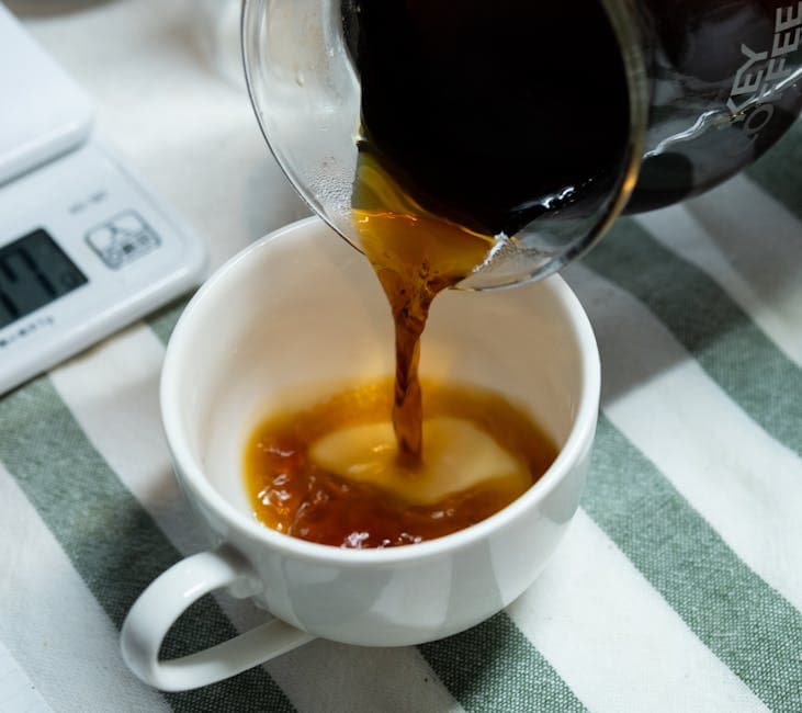 Knots Coffee Roasters