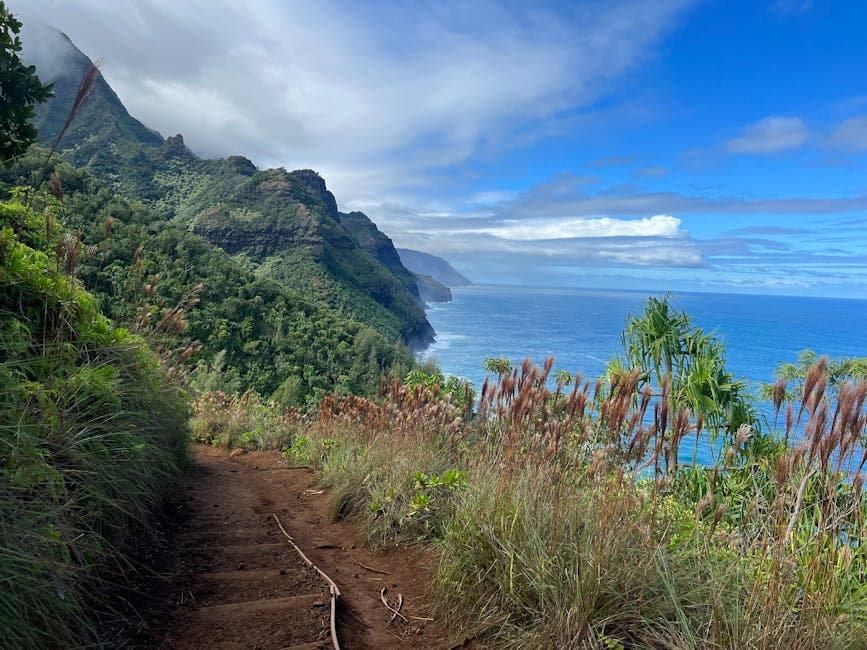 Koko Head Crater Trail