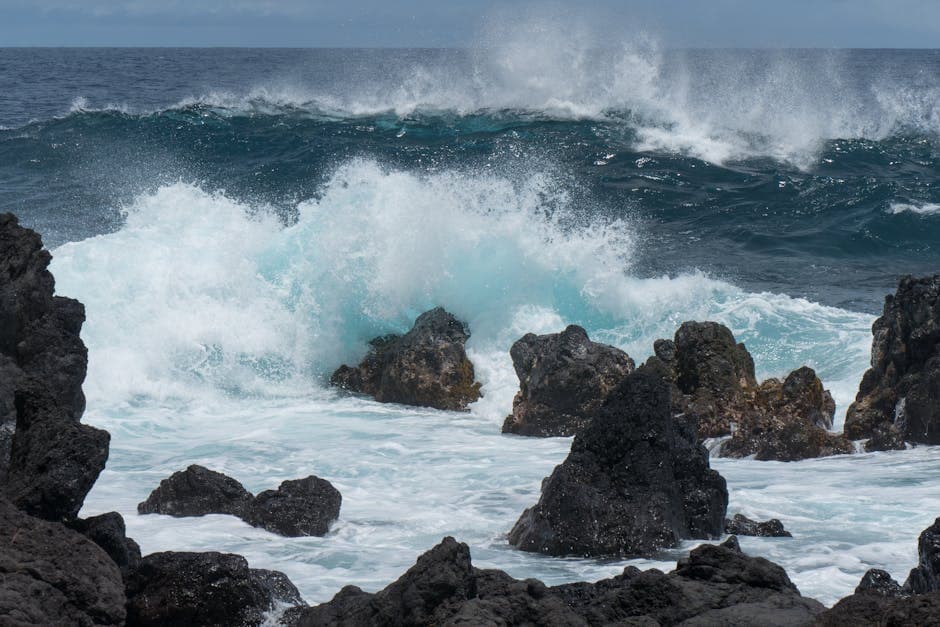 Koloa Fish Market