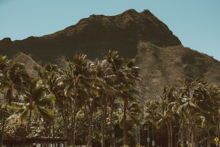 Kona Coffee Farm Tour