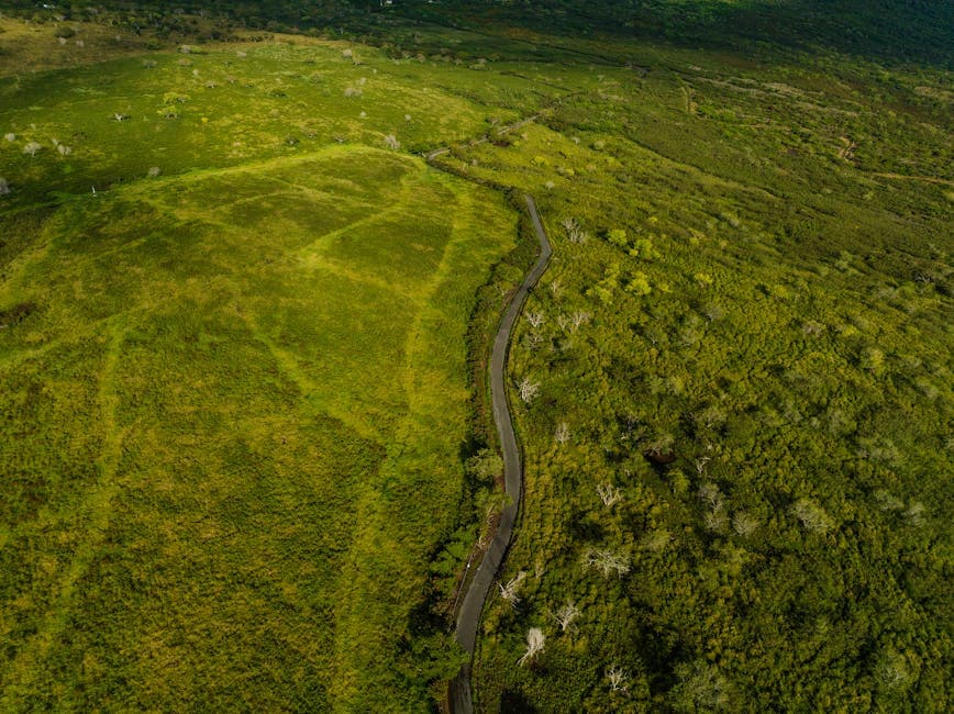 Lanikai Pillbox Hike (Ka'iwa Ridge)
