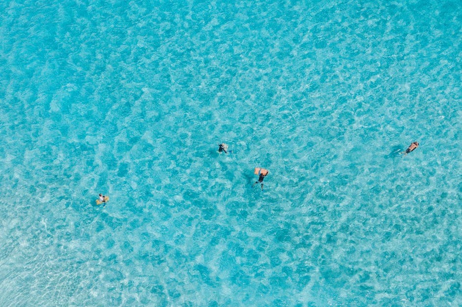 Molokini Crater (drive to Ma'alaea Harbor)