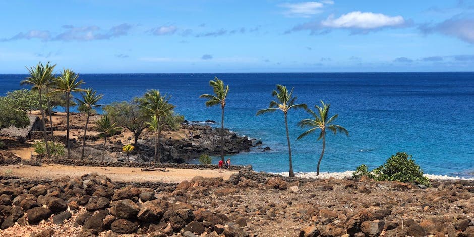 Paradise Cove Luau