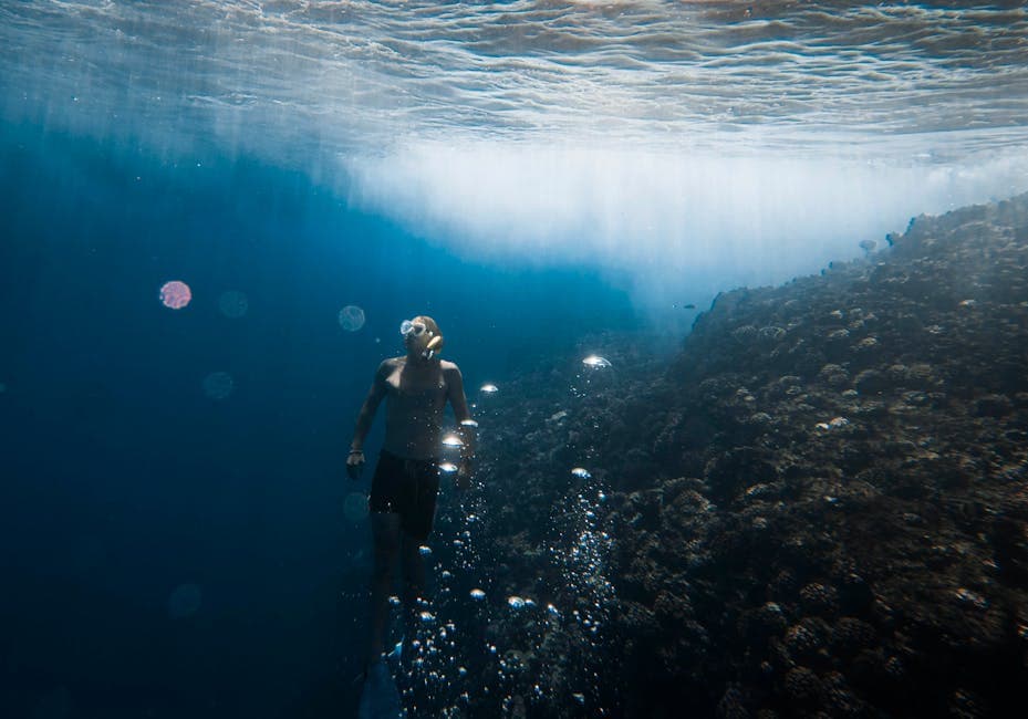 Shark's Cove (Pupukea)