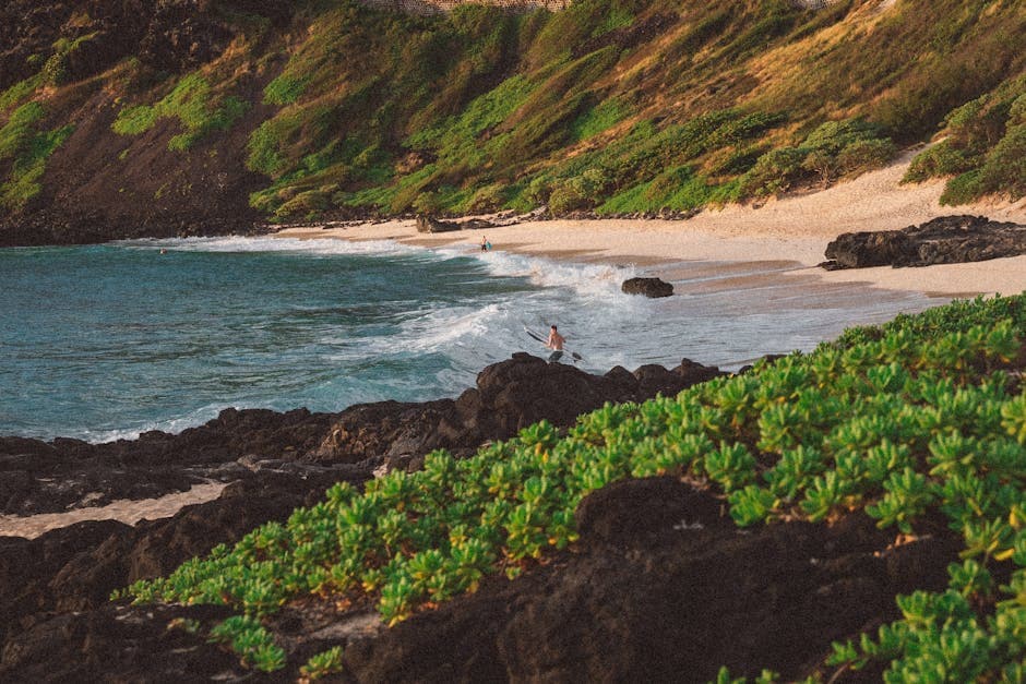 Wailua Family Restaurant
