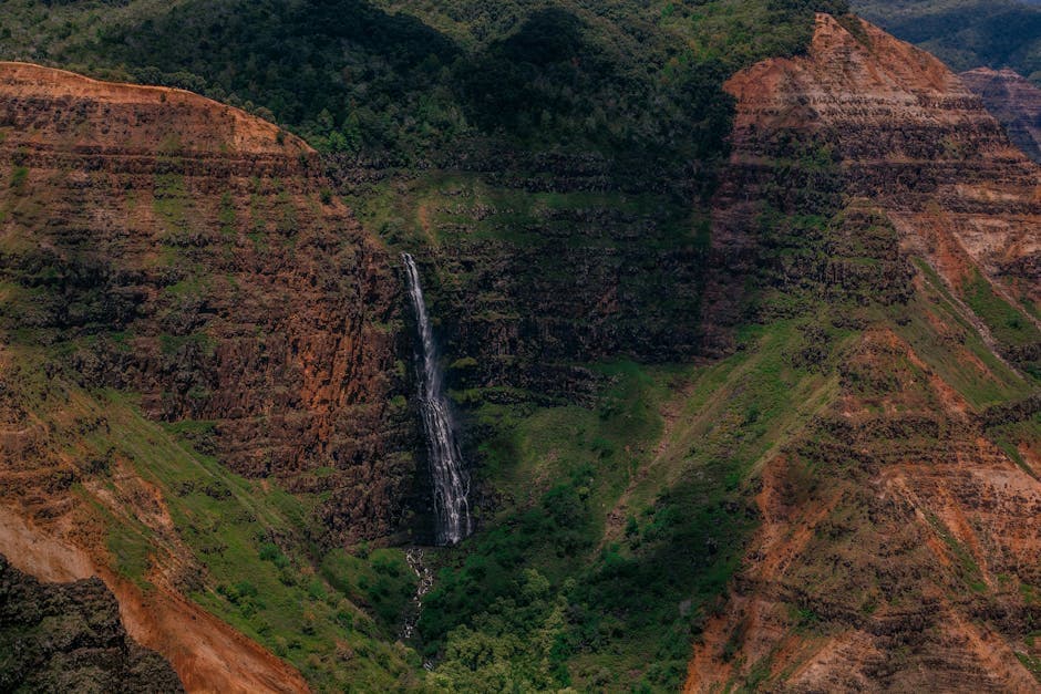 Waimea Valley & Waimea Falls